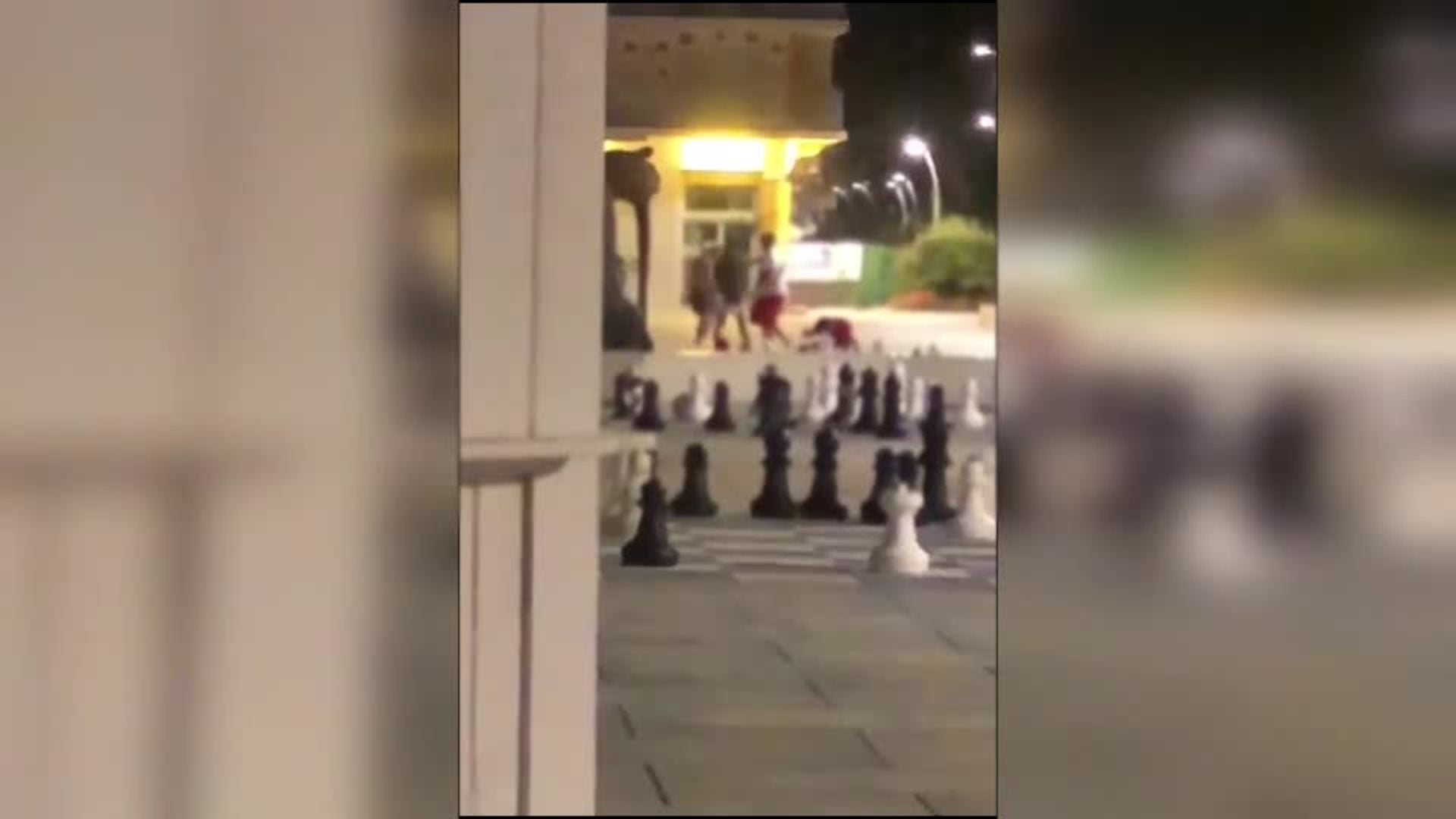 Así fue la paliza a un joven para robarle el móvil que lo dejó inconsciente en Estepona