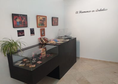 Imagen secundaria 1 - Exposición sobre el flamenco en el Centro Cultural Villa de Ardales.