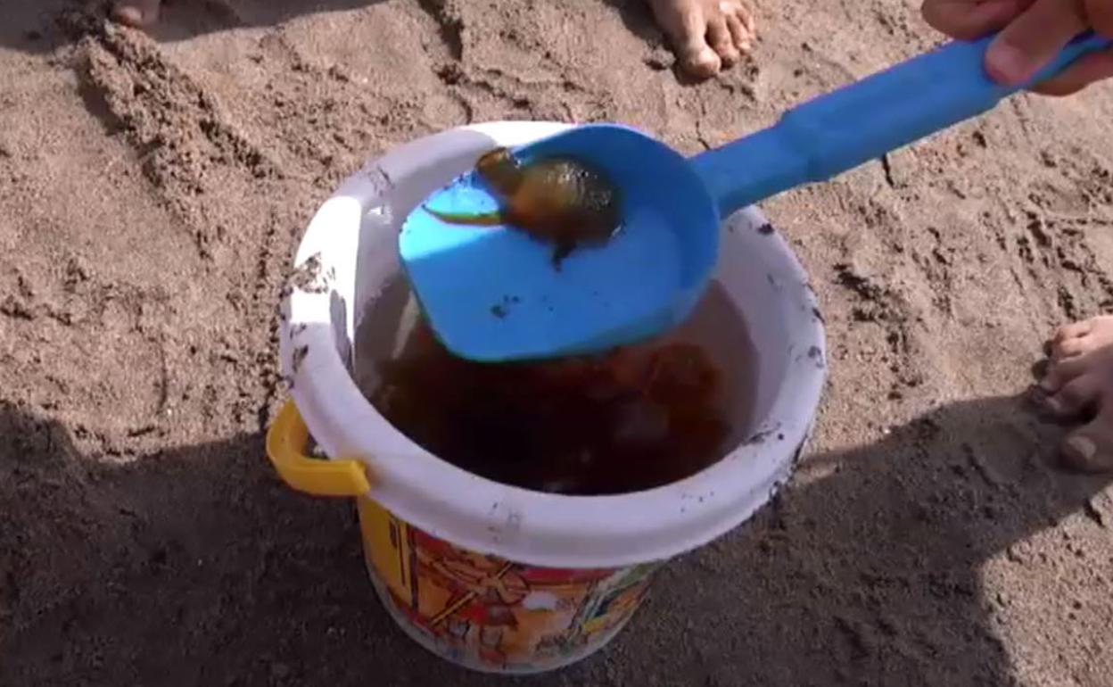 Medusas recogidas por los niños en un día de playa en Málaga. 