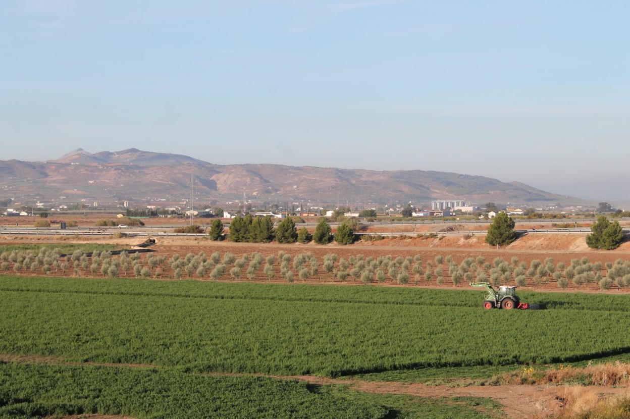 Los agricultores malagueños muestran su evidente preocupación por los resultados económicos que arrojan los últimos balances anuales.