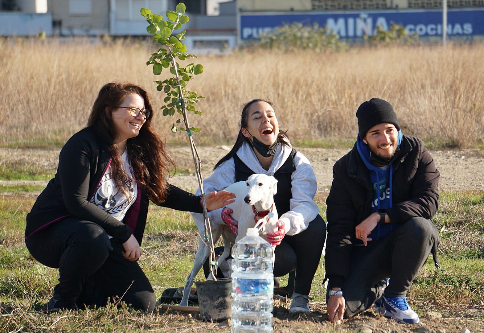 Unas 200 personas participan en la limpieza y plantación de árboles en los suelos donde el Ayuntamiento de Málaga proyecta cuatro rascacielos