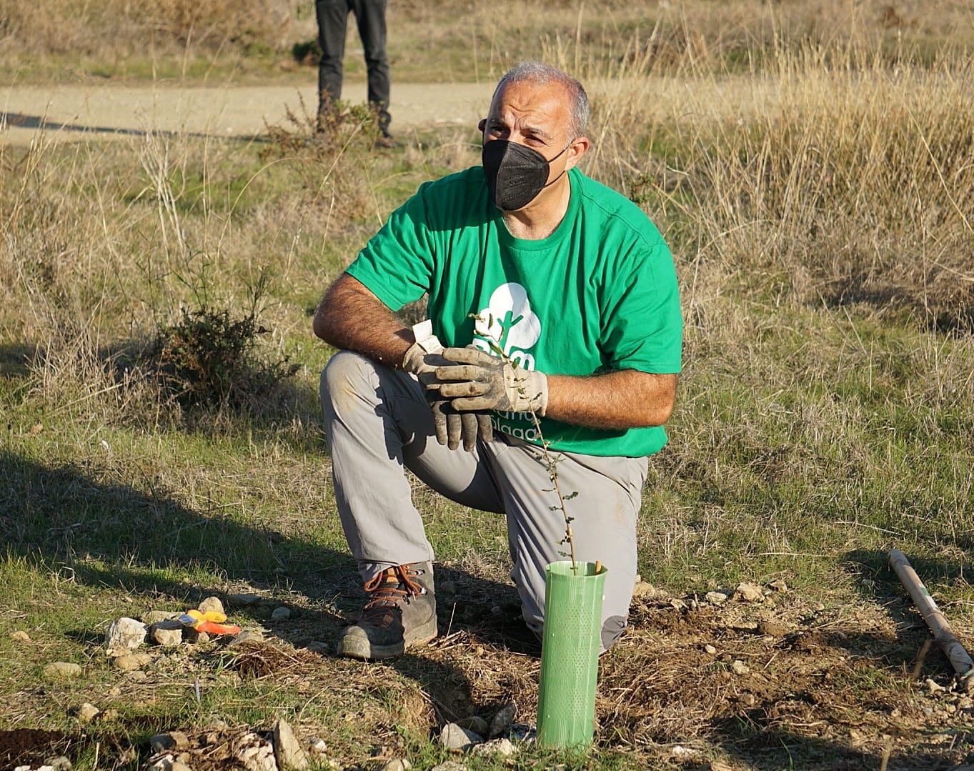 Unas 200 personas participan en la limpieza y plantación de árboles en los suelos donde el Ayuntamiento de Málaga proyecta cuatro rascacielos