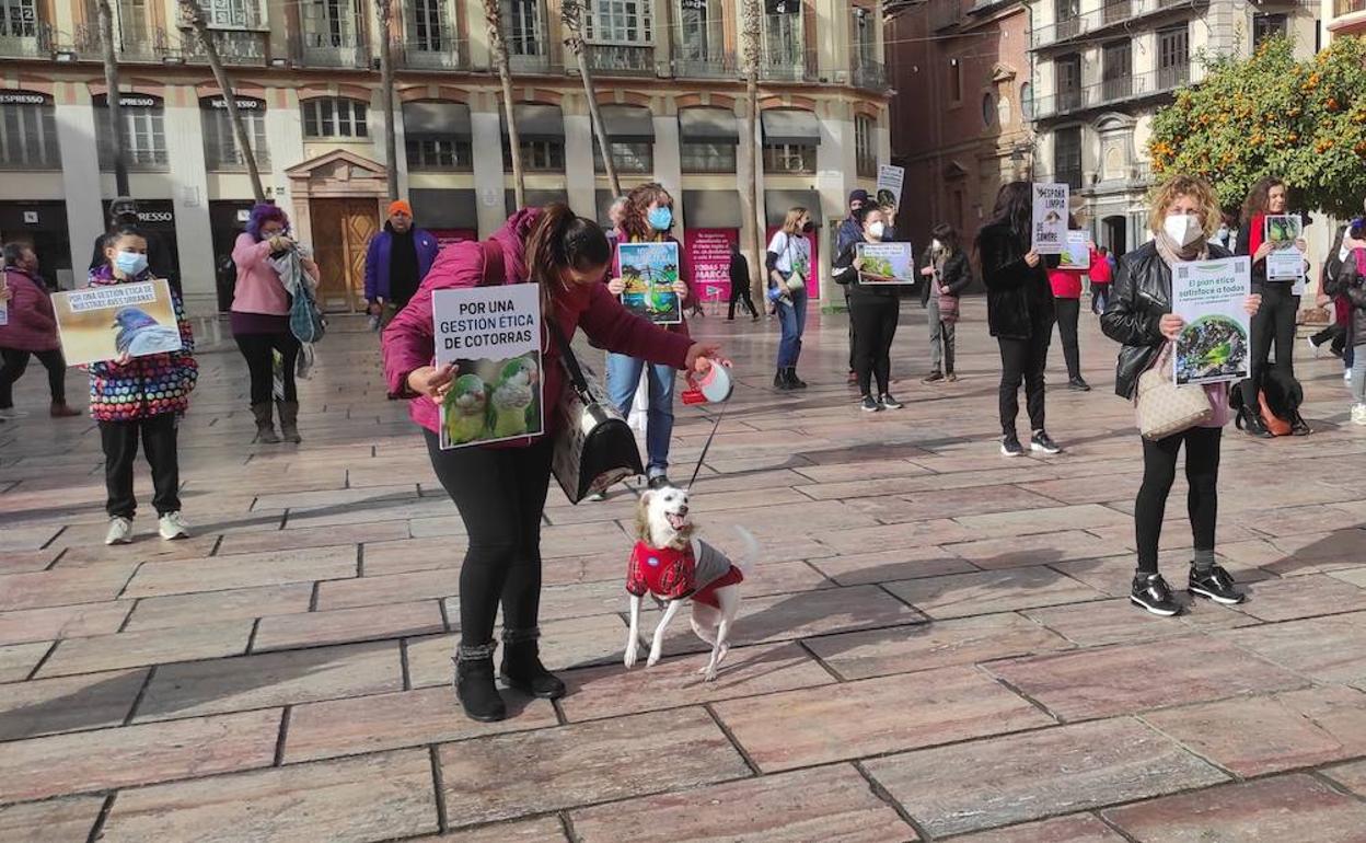 Animalistas concentrados hoy en la plaza de la Constitución contra el exterminio de cotorras. 