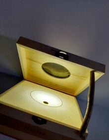 Imagen secundaria 2 - Arte contra el cambio climático en Málaga: de la música de las bacterias a una obra con hongos