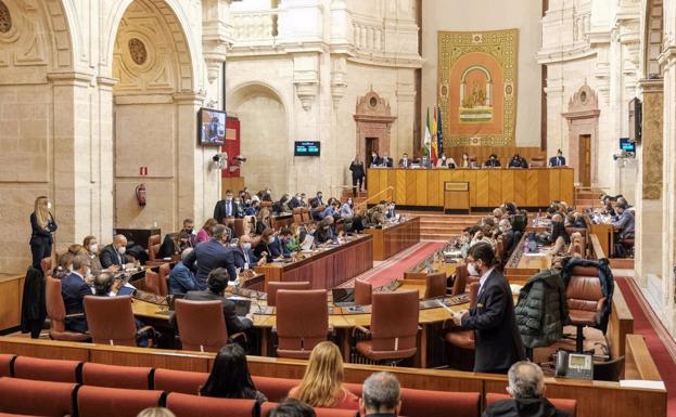 Pleno extraordinario del Parlamento de Andalucía 