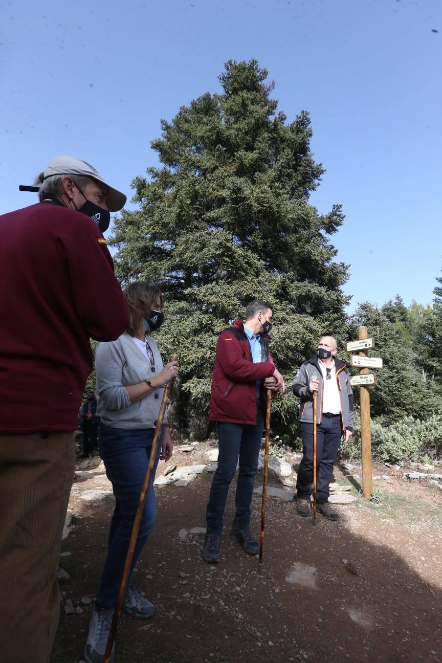 Pedro Sánchez recalcó que la consideración de Parque Nacional es «una fuente de oportunidades» para el desarrollo de la Sierra de las Nieves 