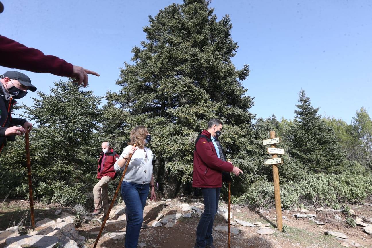 Pedro Sánchez recalcó que la consideración de Parque Nacional es «una fuente de oportunidades» para el desarrollo de la Sierra de las Nieves 