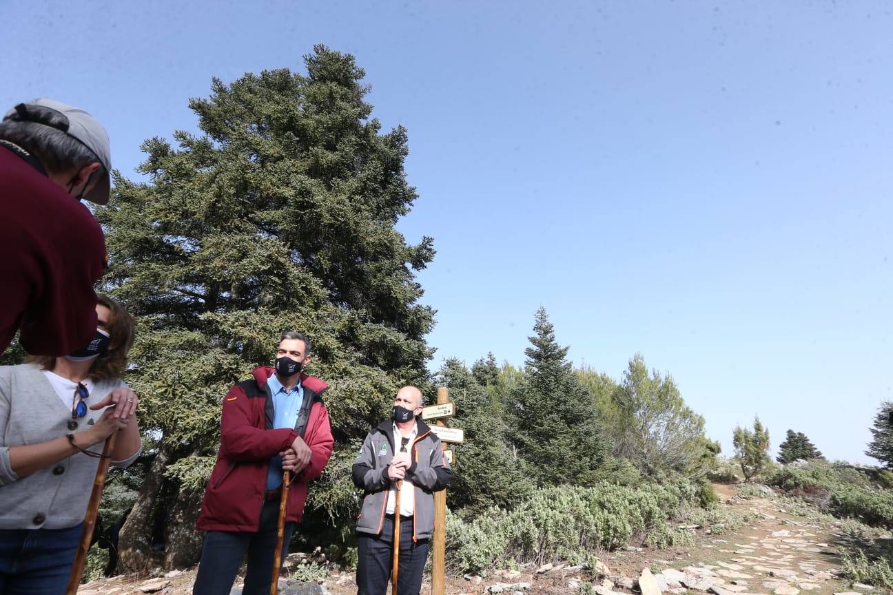 Pedro Sánchez recalcó que la consideración de Parque Nacional es «una fuente de oportunidades» para el desarrollo de la Sierra de las Nieves 