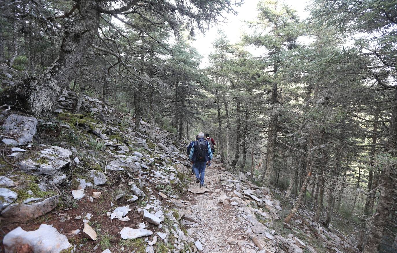 Pedro Sánchez recalcó que la consideración de Parque Nacional es «una fuente de oportunidades» para el desarrollo de la Sierra de las Nieves 