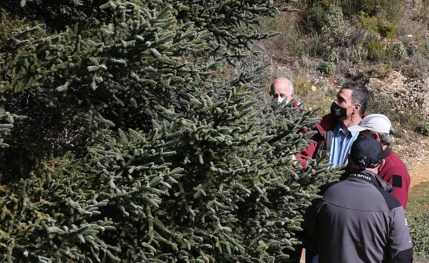 Pedro Sánchez recalcó que la consideración de Parque Nacional es «una fuente de oportunidades» para el desarrollo de la Sierra de las Nieves 