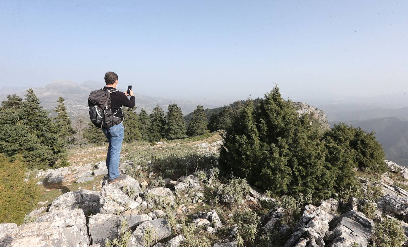 Pedro Sánchez recalcó que la consideración de Parque Nacional es «una fuente de oportunidades» para el desarrollo de la Sierra de las Nieves 