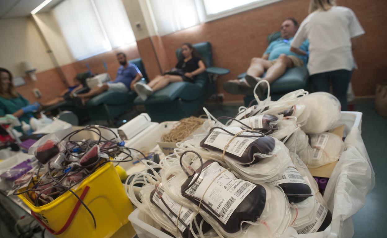 Cada día hacen falta 250 bolsas de sangre en Málaga. 