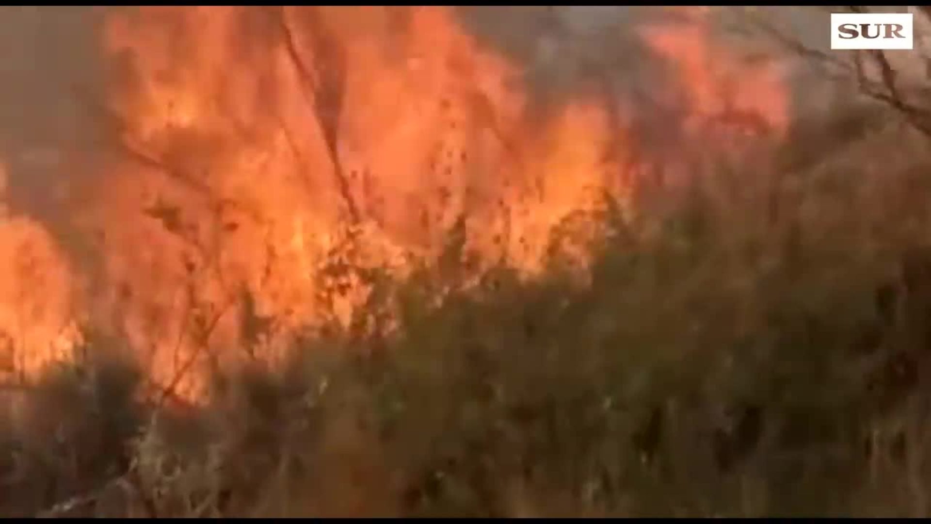 Sucesos Málaga: Los bomberos se despliegan en Puerto de la Torre por un incendio de monte