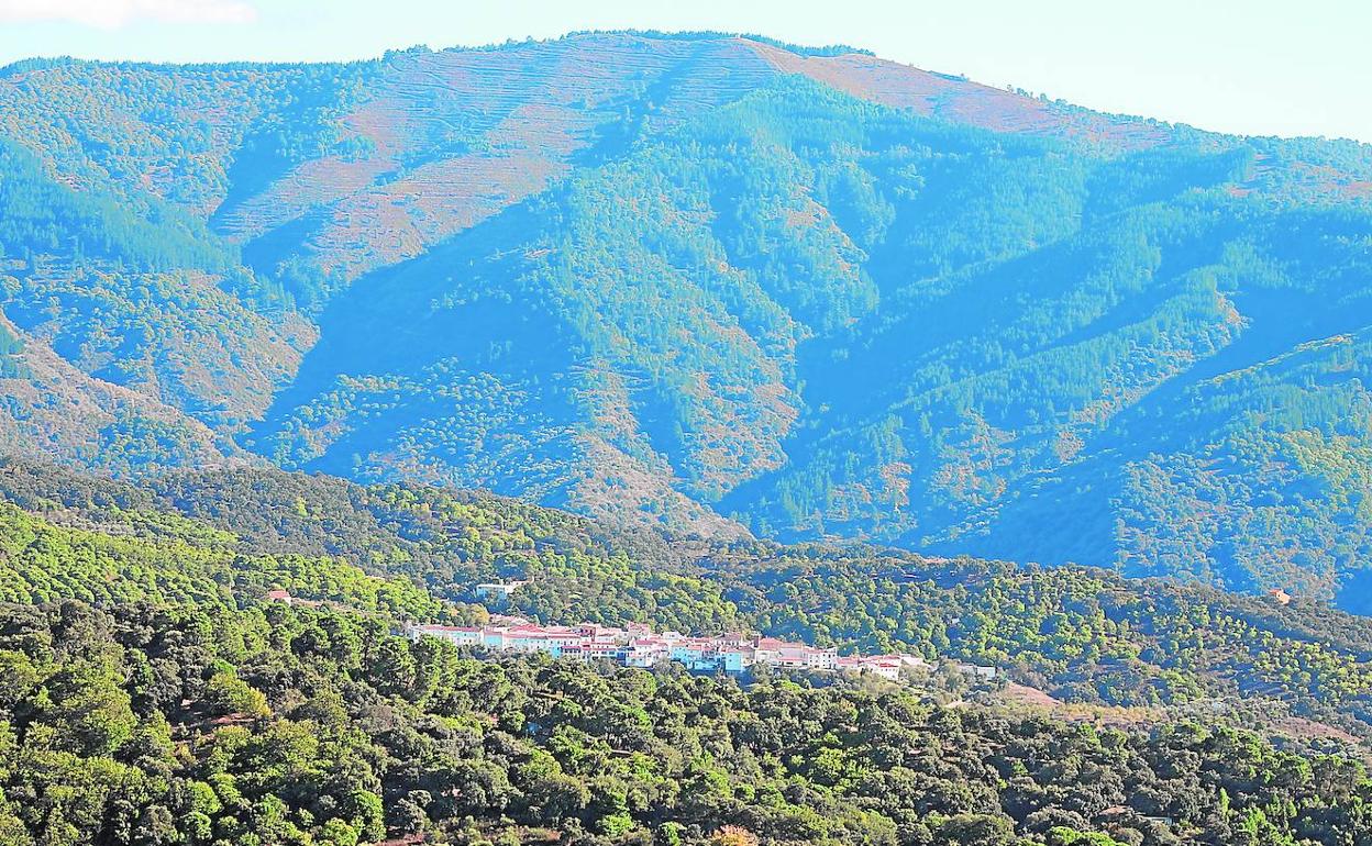 Distintas tonalidades de verde salpican el denso bosque que rodea al pueblo 