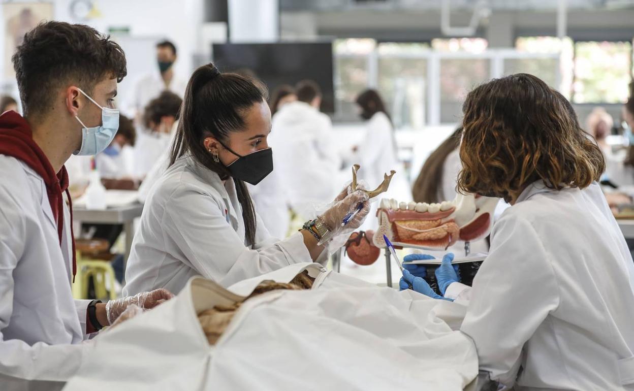 Los profesores de Medicina obtienen la plaza fija diez años antes de su jubilación