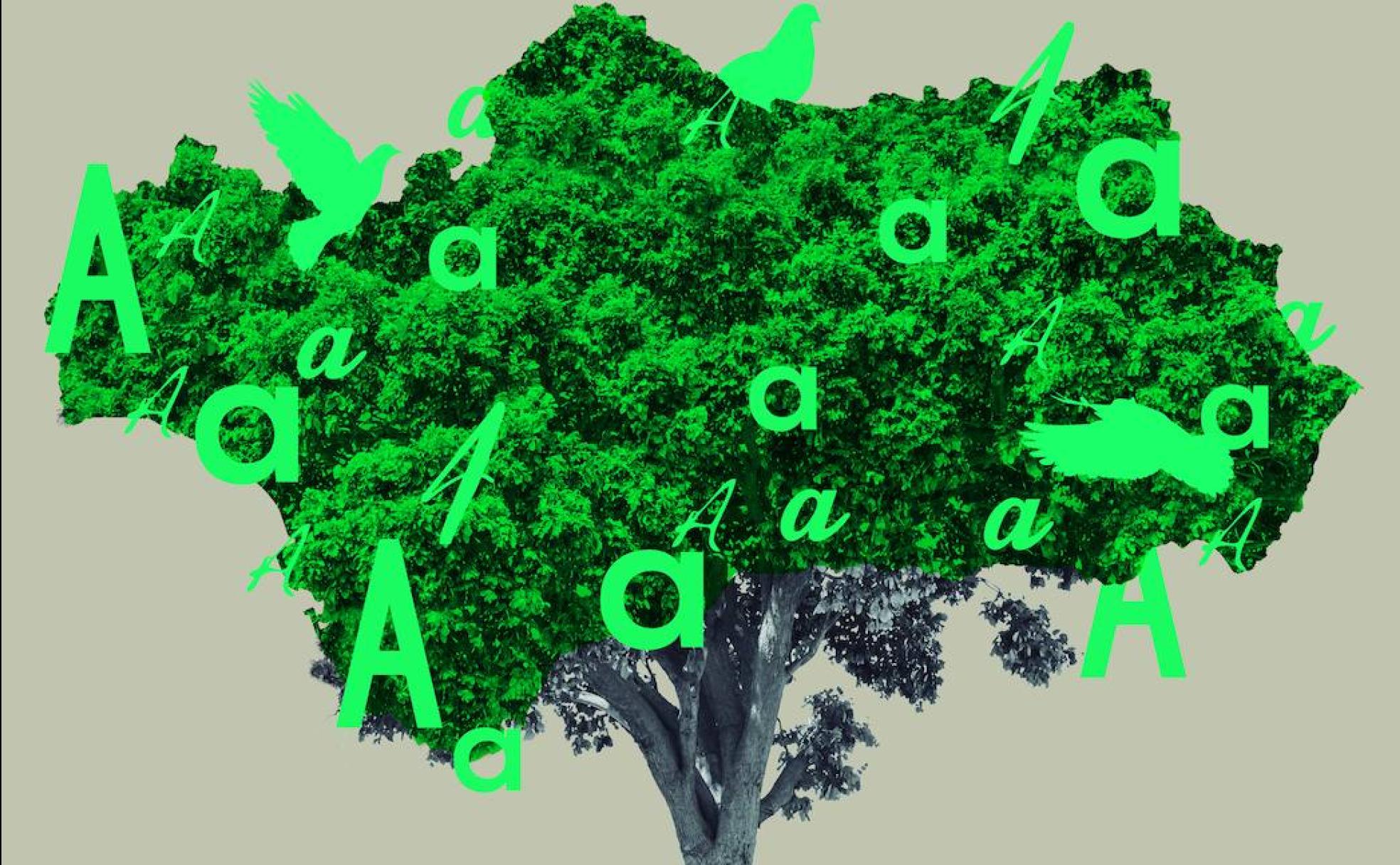 28F: El desafío andaluz