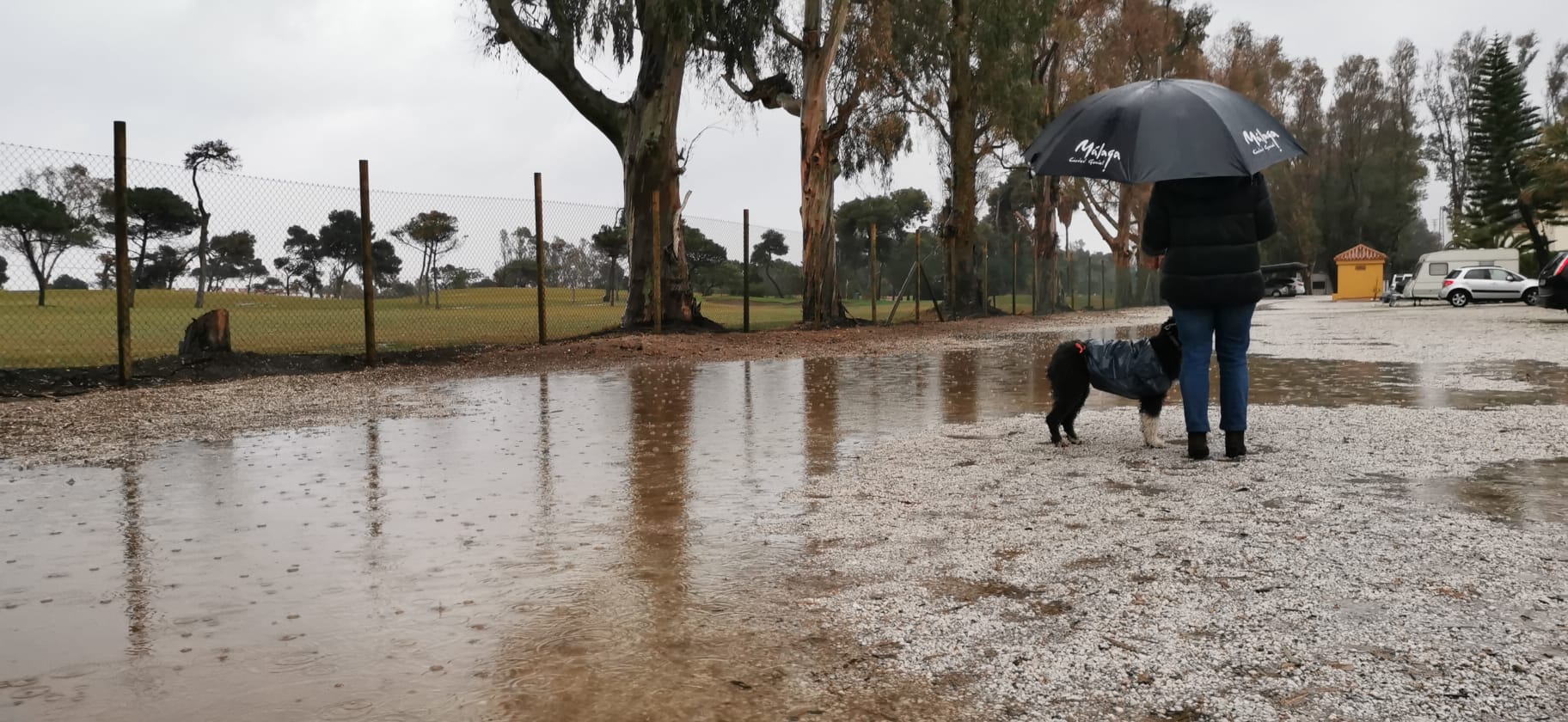 El paso de la borrasca Celia deja nieve y lluvia en distintos puntos de la provincia malagueña