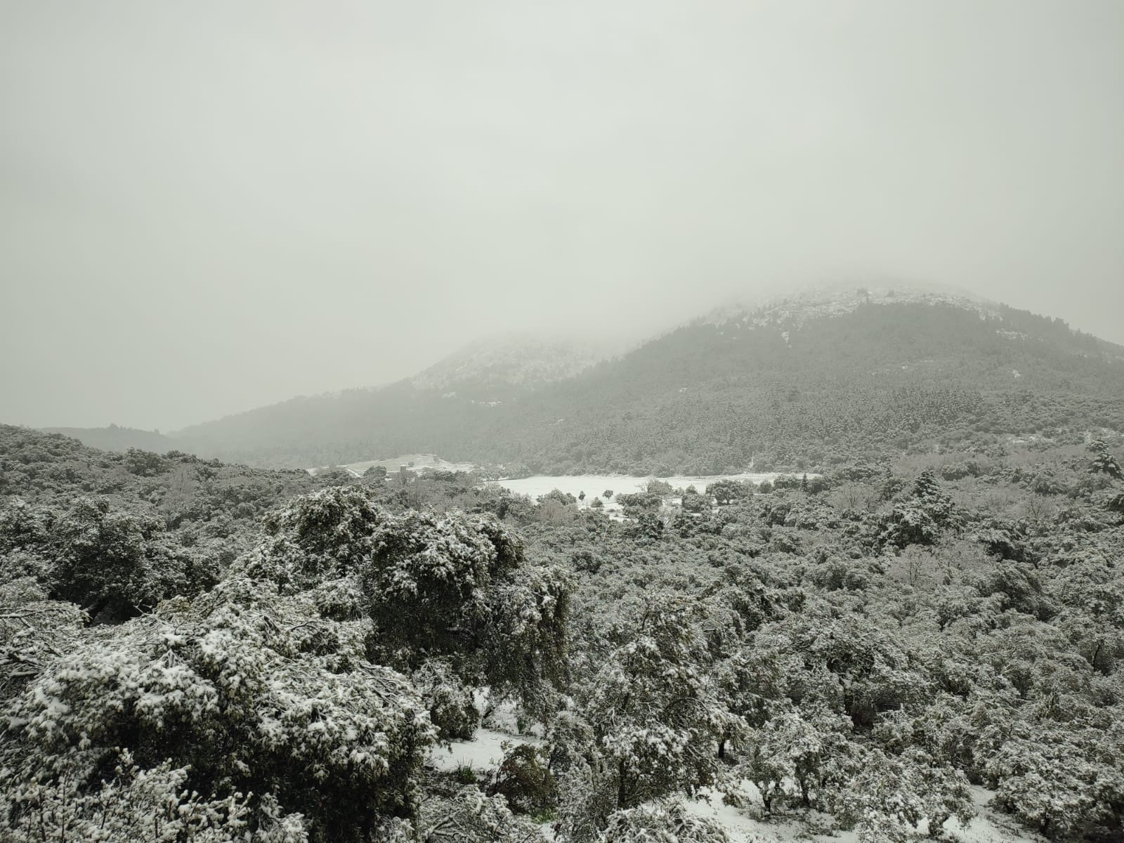 El paso de la borrasca Celia deja nieve y lluvia en distintos puntos de la provincia malagueña