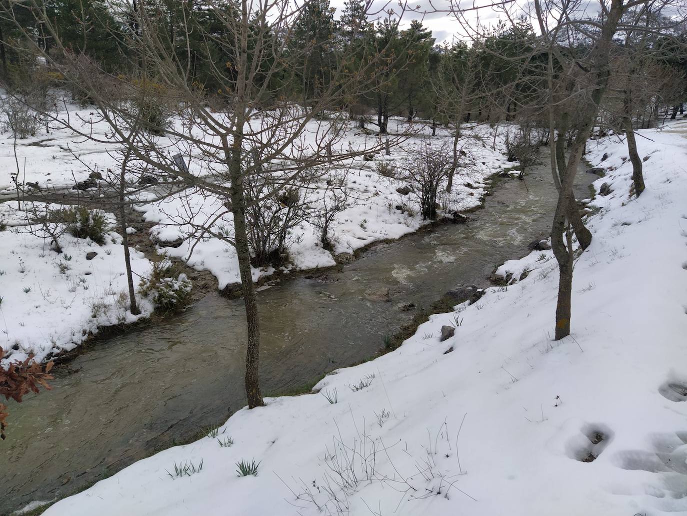 Manto blanco en la Sierra de las Nieves