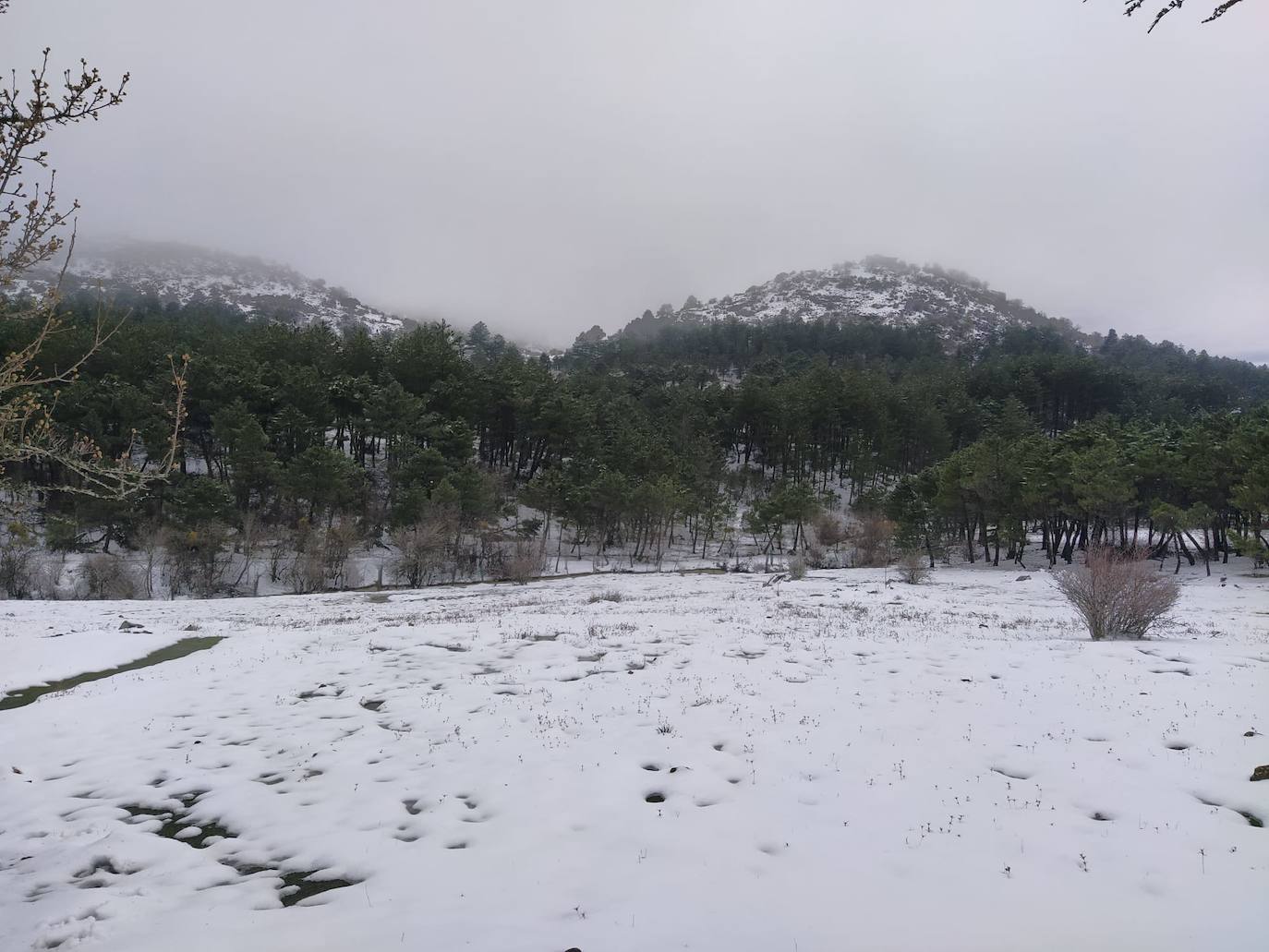 Manto blanco en la Sierra de las Nieves.