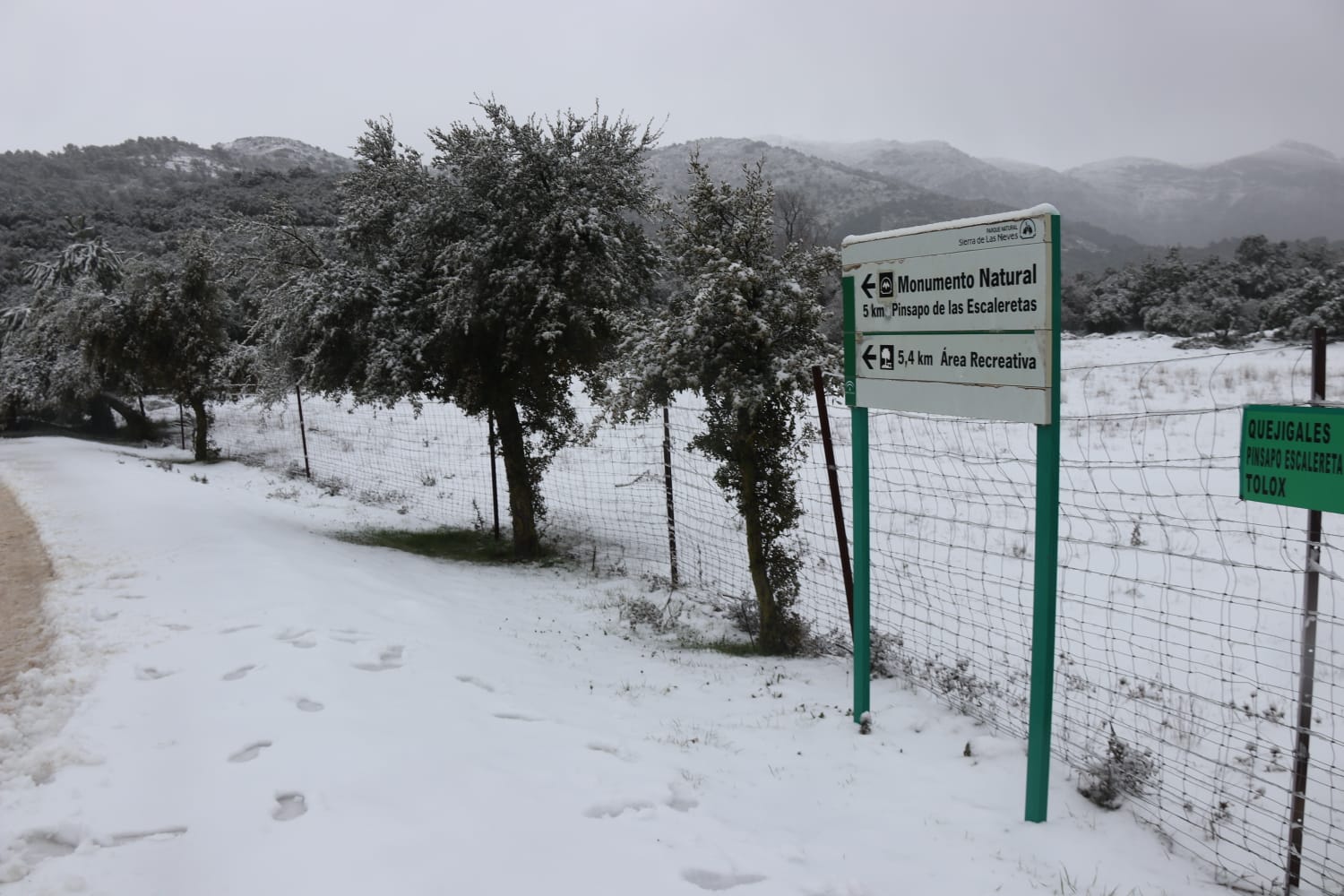 El paso de la borrasca Celia deja nieve y lluvia en distintos puntos de la provincia malagueña. El paso de la borrasca Celia deja nieve y lluvia en distintos puntos de la provincia malagueña. Acceso al parque Sierra de las Nieves