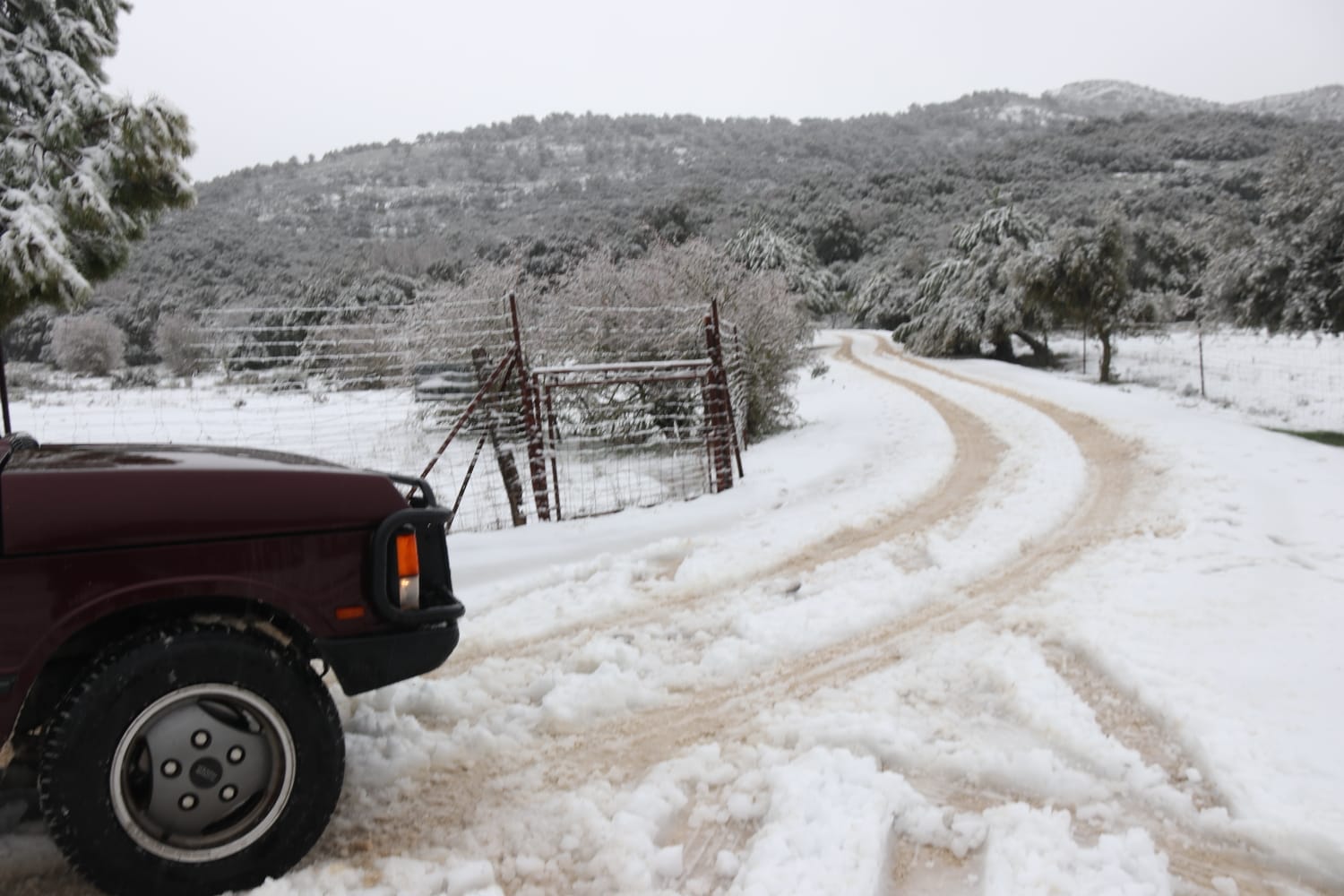 El paso de la borrasca Celia deja nieve y lluvia en distintos puntos de la provincia malagueña. El paso de la borrasca Celia deja nieve y lluvia en distintos puntos de la provincia malagueña. Acceso al parque Sierra de las Nieves