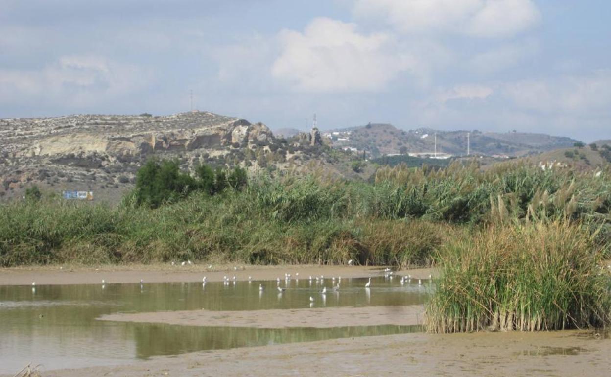 Delta de la desembocadura del río Vélez. 