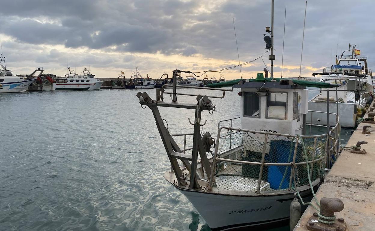 La flota de Málaga, amarrada ayer en el puerto. 