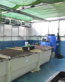 Imagen secundaria 2 - Instalaciones del Centro de Investigación Grice-Hutchinson dedicadas a la experimentación. 
