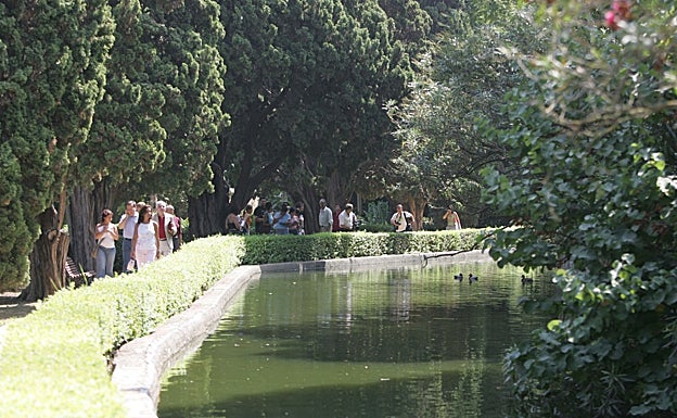 Uno de los paseos de la finca. 