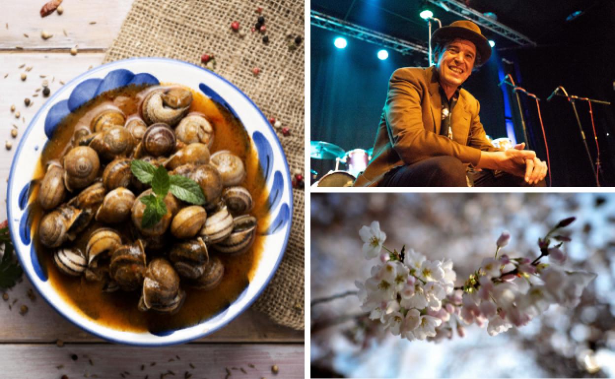 Fiestas gastronómicas, conciertos y actividades de todo tipo conforman la agenda de ocio del 'finde'. 