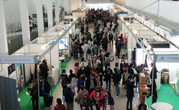 Imagen principal - La feria se celebra hasta el miércoles en el vestíbulo de la Facultad de Estudios Sociales y del Trabajo de la UMA. Debajo, un equipo de neurorehabilitación y realidad virtual. 