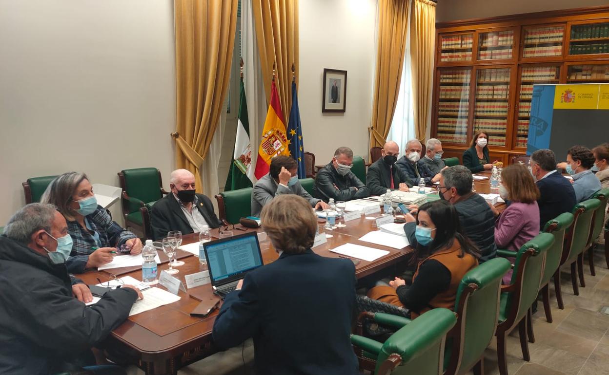 Participantes en la junta plenaria de la Fundación Cueva de Nerja celebrada en la Subdelegación del Gobierno en Málaga. 