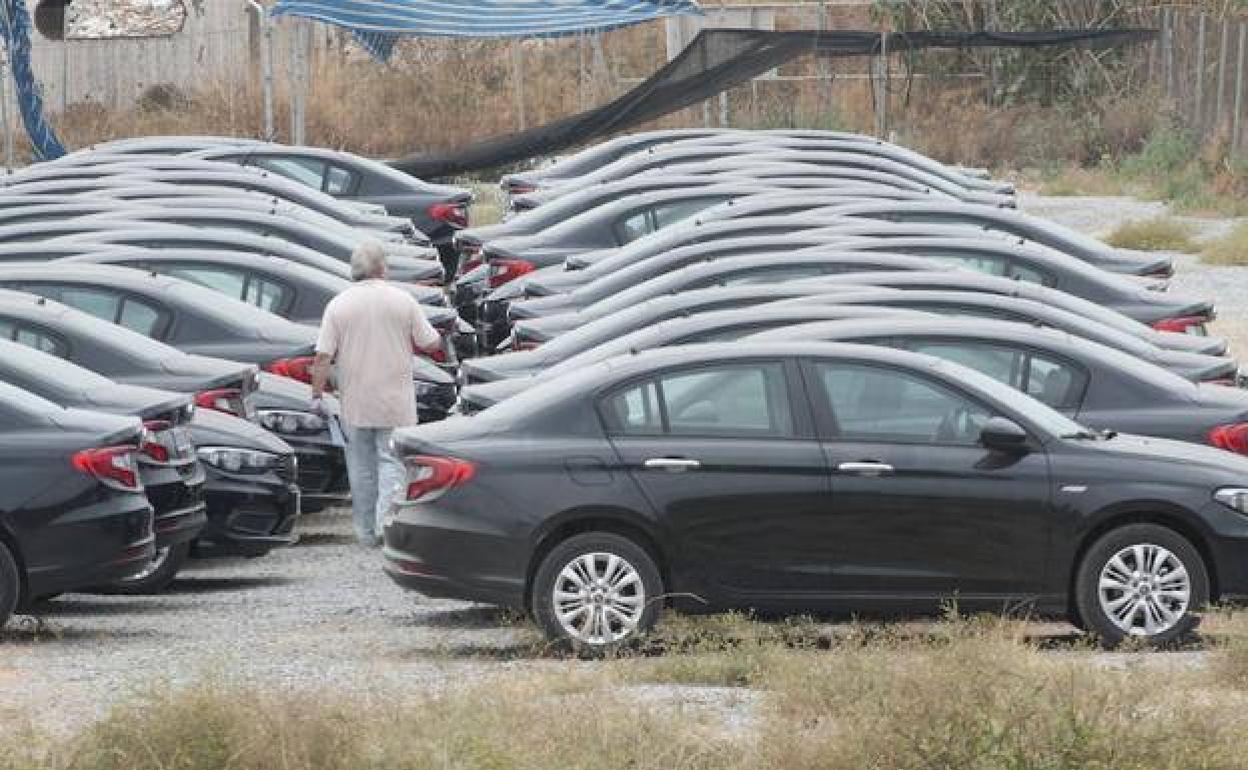 Estos son los conductores que pueden recibir hasta 1.250 euros de ayuda para combustible