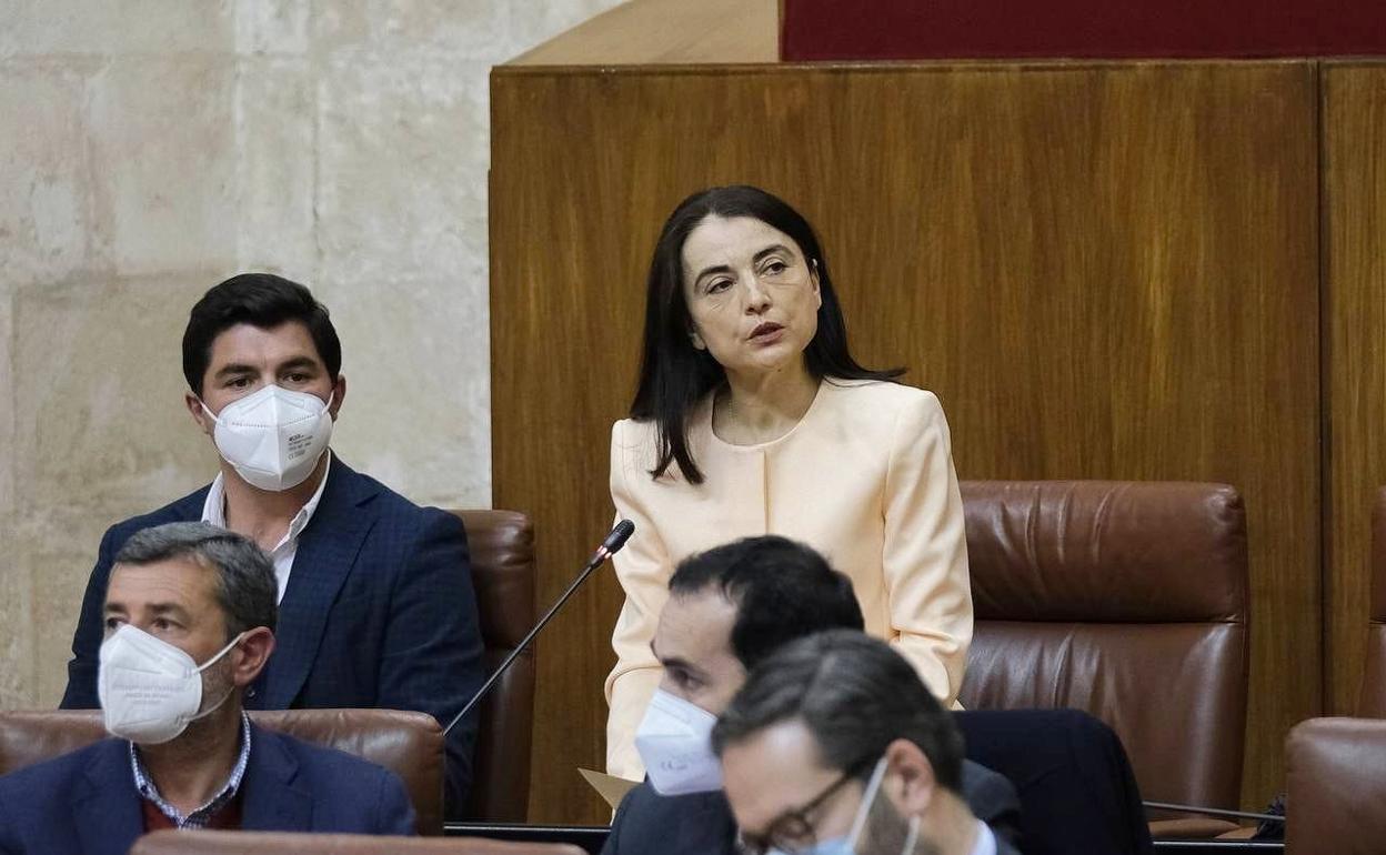 Torres, esta tarde, durante su toma de posesión en el Parlamento andaluz.