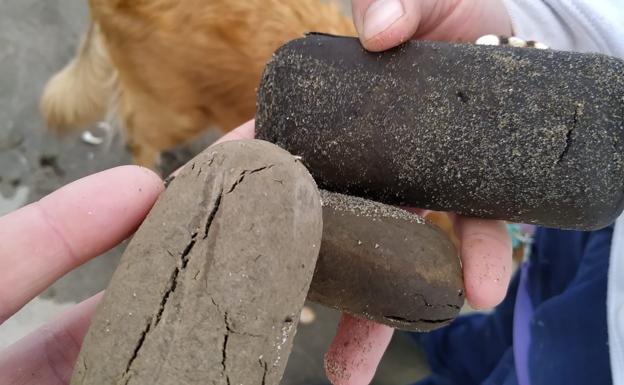 Denuncian casos de perros intoxicados por hachís que el mar ha sacado a las playas de Marbella por el temporal