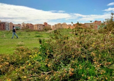 Imagen secundaria 1 - La naturaleza brota en los terrenos de Repsol