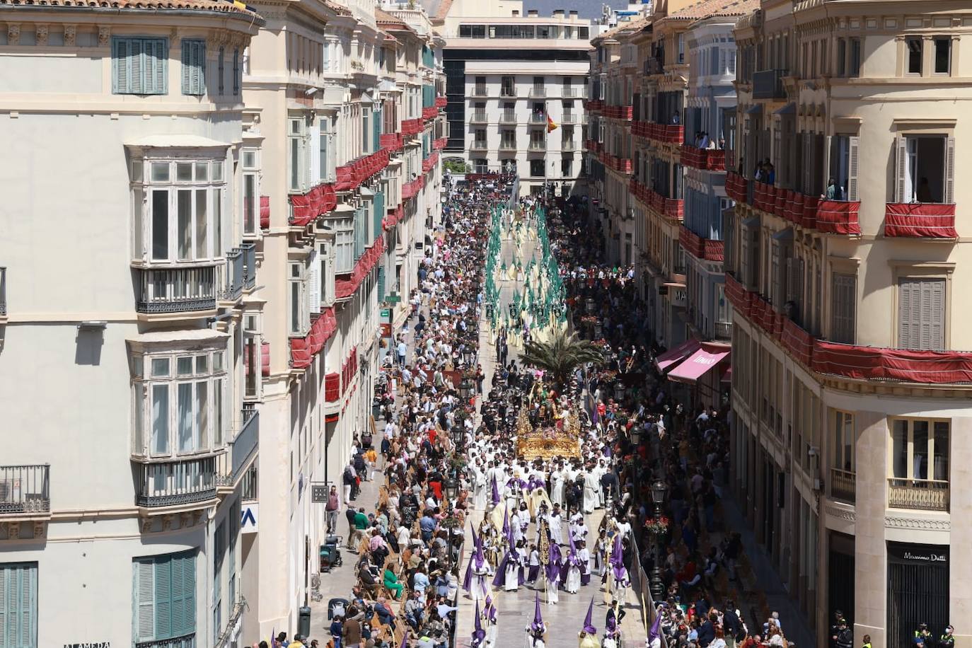 Nuestro Padre Jesús a su entrada en Jerusalén, por calle Larios