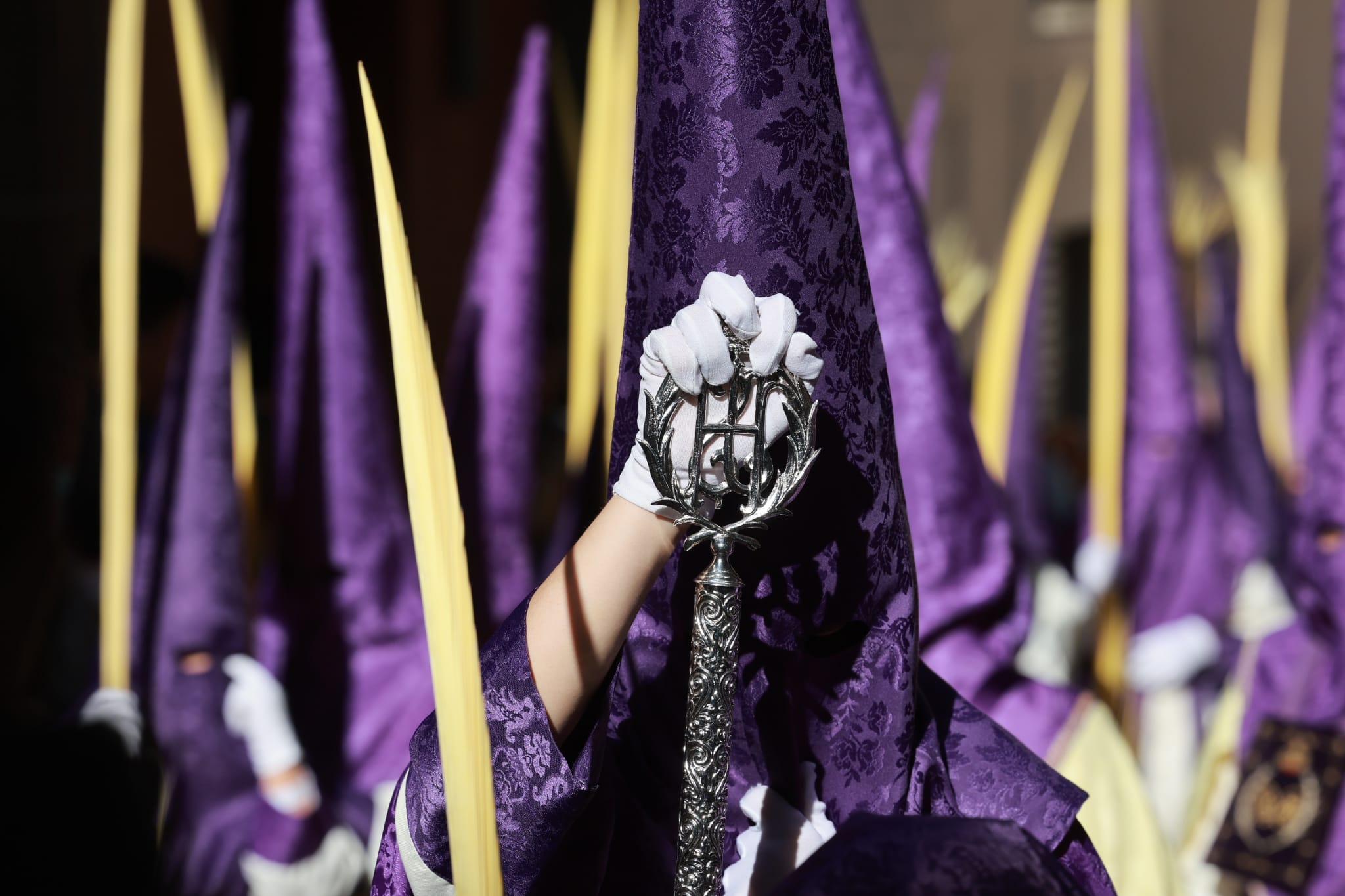 La Pollinica. Domingo de Ramos en Málaga. 