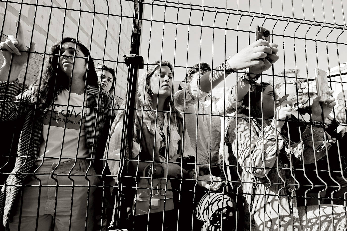 Imágenes del Domingo de Ramos. 