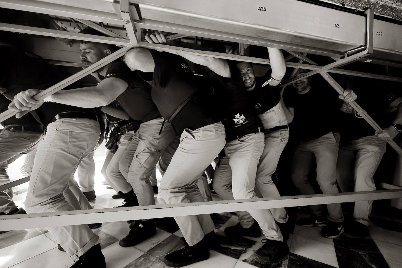 Imágenes del Domingo de Ramos. 