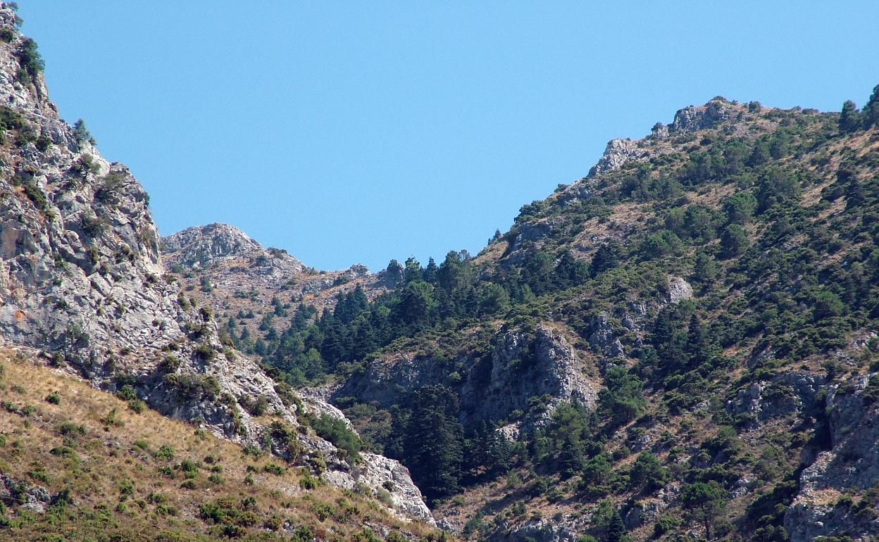 Sierra de las Nieves.