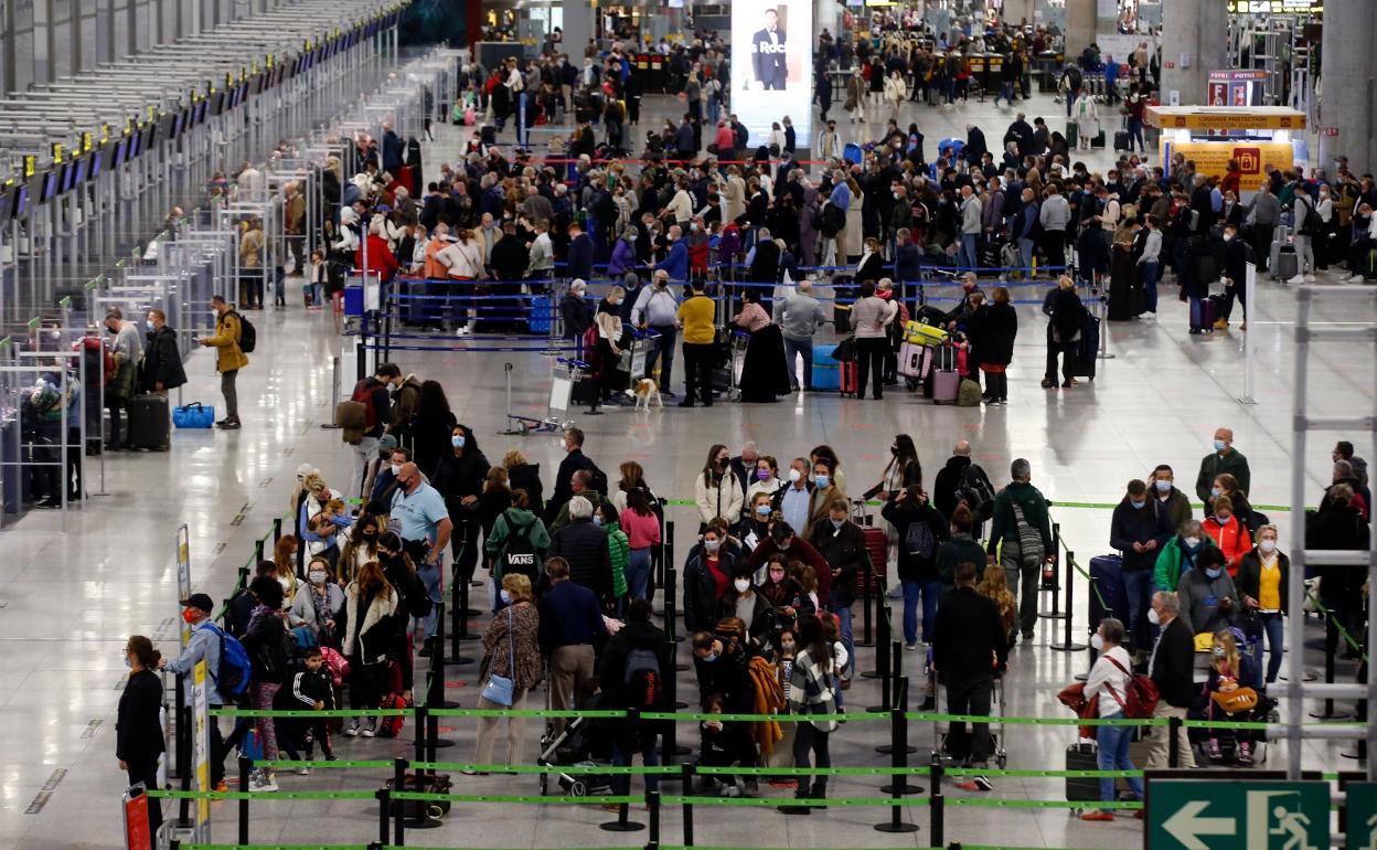 Colas ante los mostradores de facturación del aeropuerto de Málaga. 