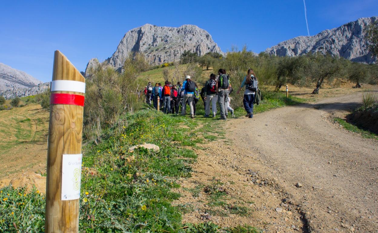 Una de las etapas de la Gran Senda, en Alfarnate.