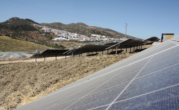 Huerto Solar en el término municipal de Casabermeja. 