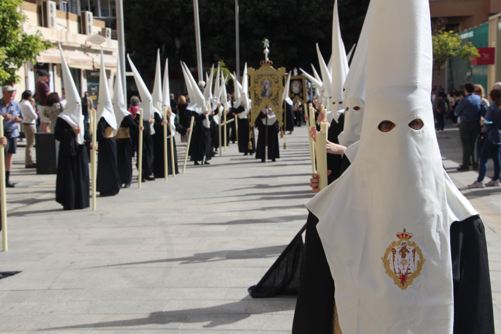 Las mejores imágenes de las cofradías del Viernes Santo en Málaga. Procesionan Monte Calvario, Descendimiento, Dolores de San Juan, Amor, Traslado, Piedad, Sepulcro y Servitas.