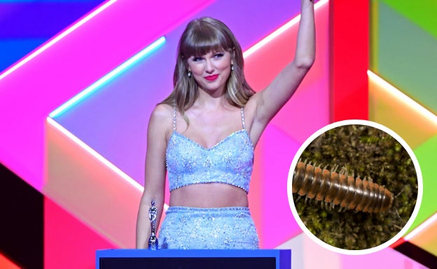 La cantante estadounidense Taylor Swift junto una imagen de la nueva especie de milpiés descubierta.