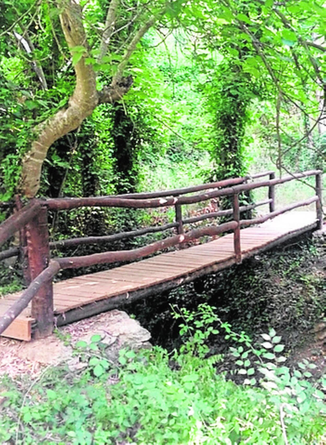 Puente de madera. sur