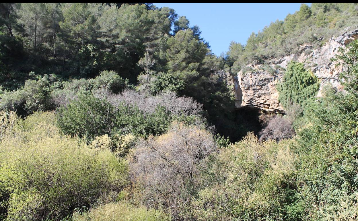 Yunquera | El nacimiento del río Grande, donde el agua se convierte en espectáculo