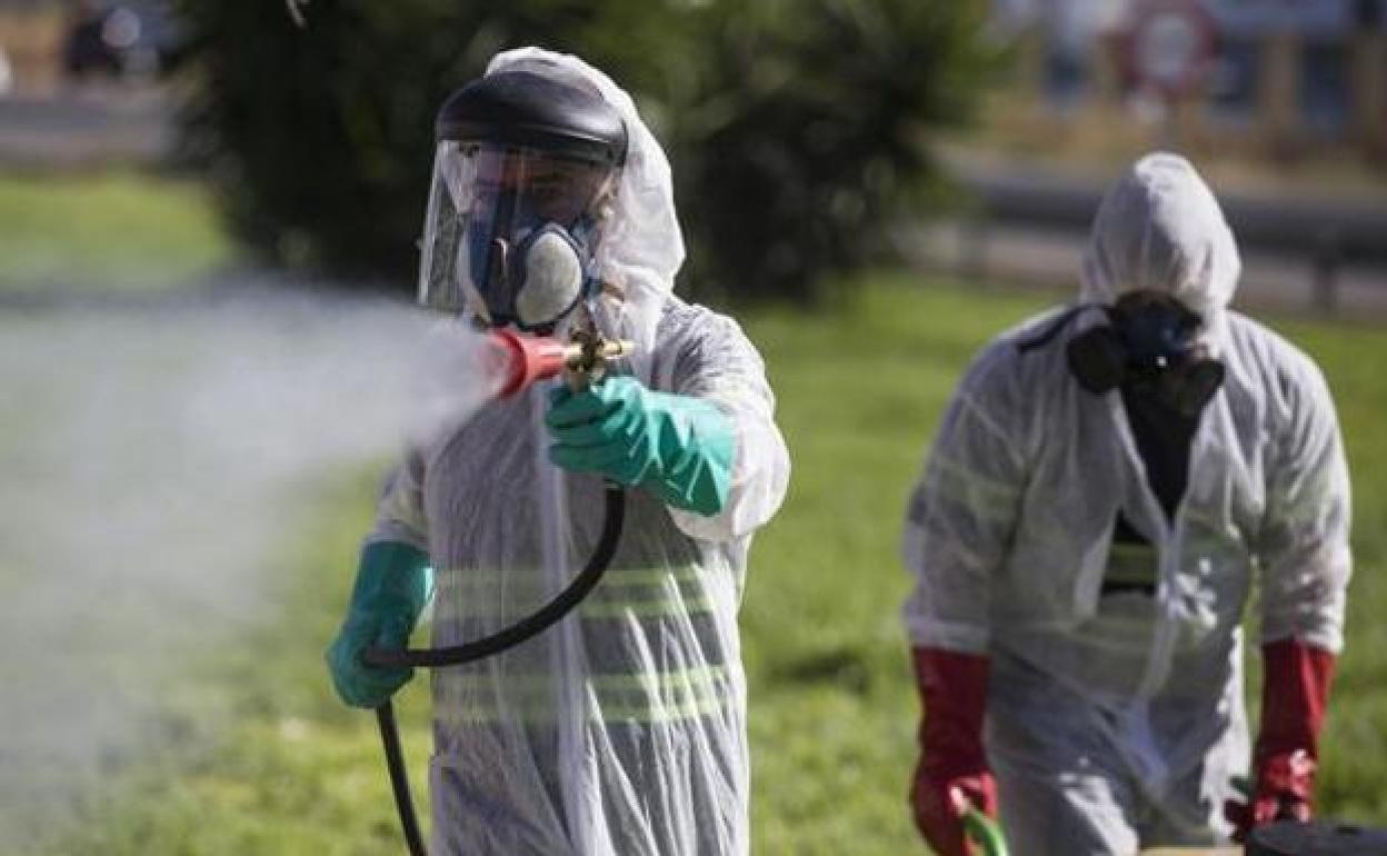 Imagen de archivo de dos trabajadores durante las labores de fumigación contra los mosquitos causantes del virus del Nilo